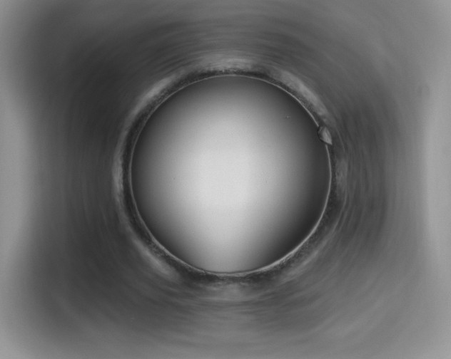 X0000116010629200911251121