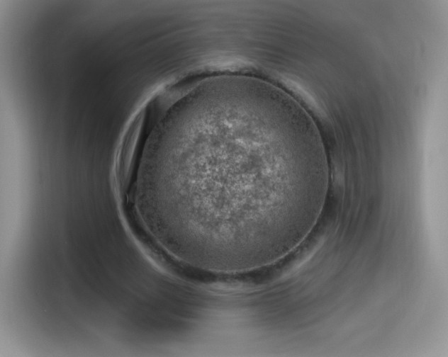X0000116010630200911251121