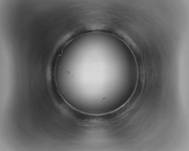 X0000116010631200911251121