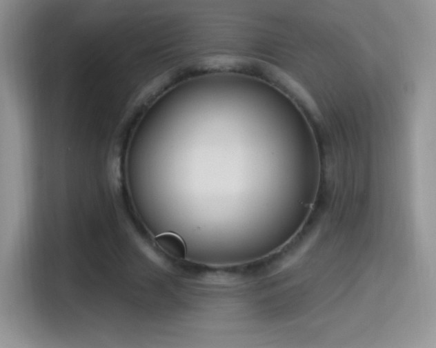 X0000116010633200911251121