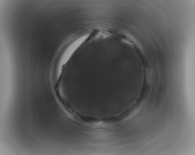 X0000116010634200911251121
