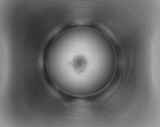 X0000116010635200911251121