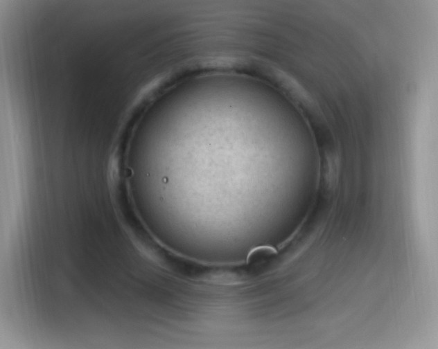 X0000116010636200911251121