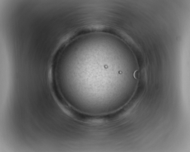 X0000116010638200911251121