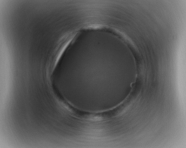 X0000116010640200911251121