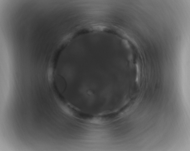 X0000116010641200911251121