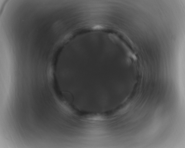 X0000116010643200911251121