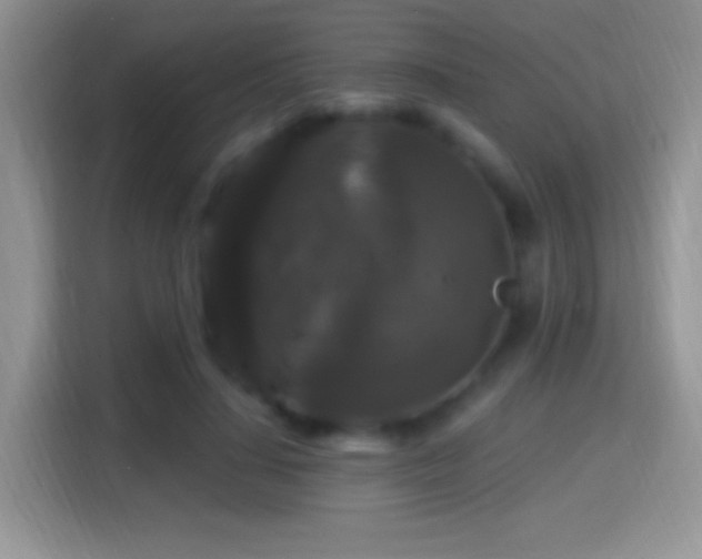 X0000116010644200911251121