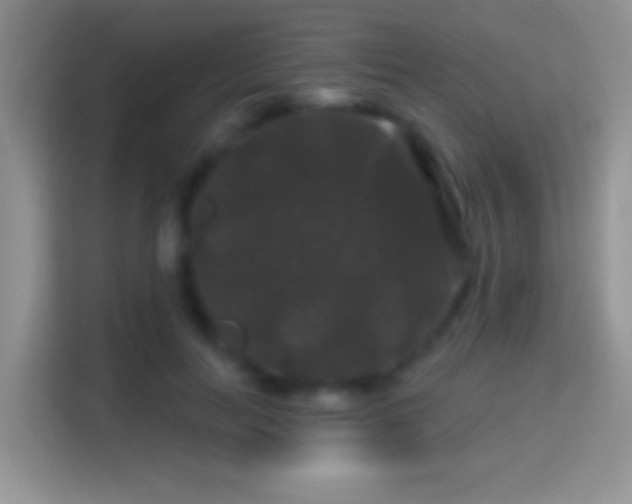 X0000116010647200911251121