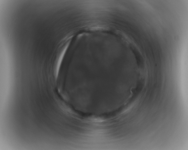 X0000116010648200911251121