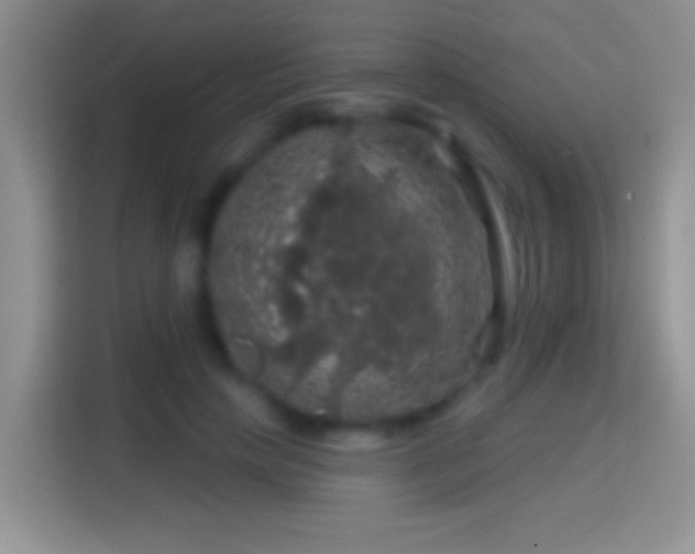 X0000116010649200911251121