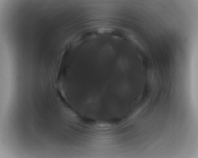 X0000116010650200911251121