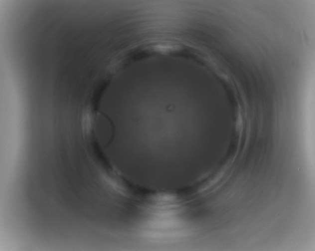X0000116010651200911251121