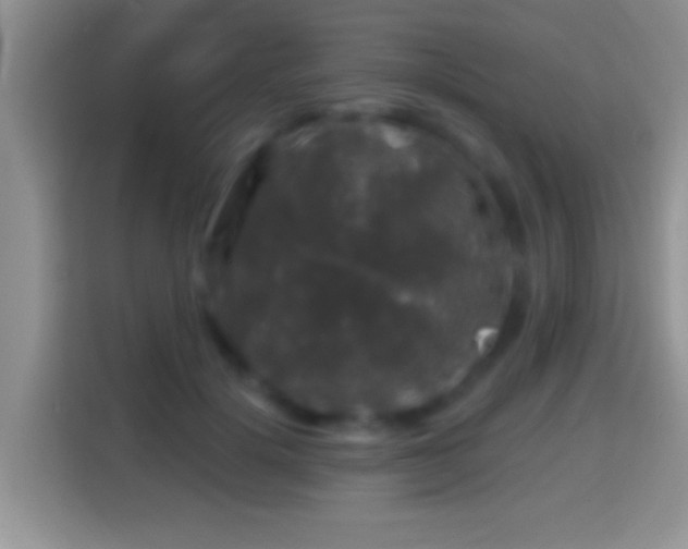 X0000116010652200911251121