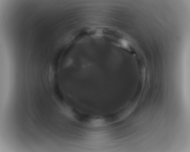 X0000116010653200911251121
