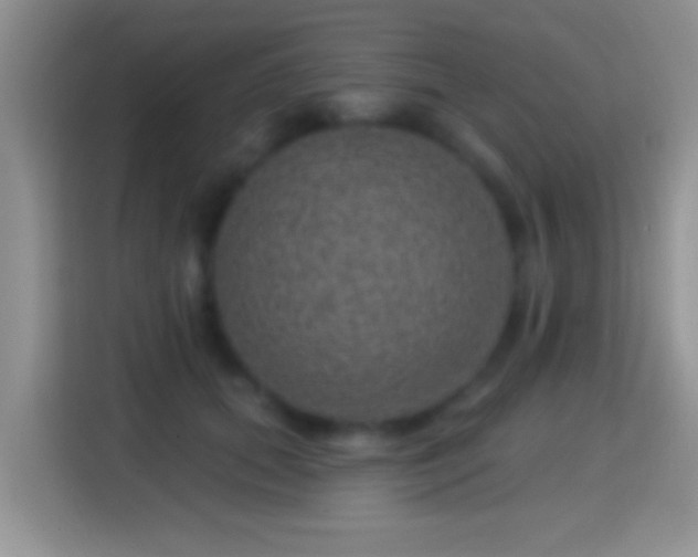 X0000116010655200911251121