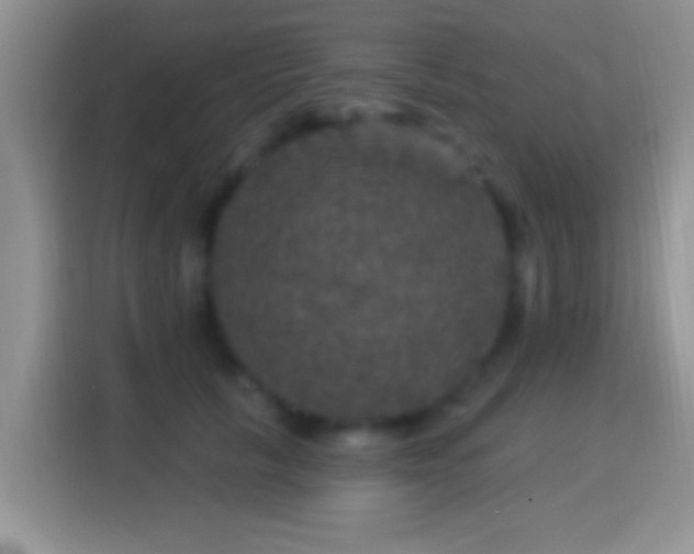 X0000116010657200911251121