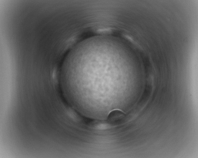 X0000116010658200911251121