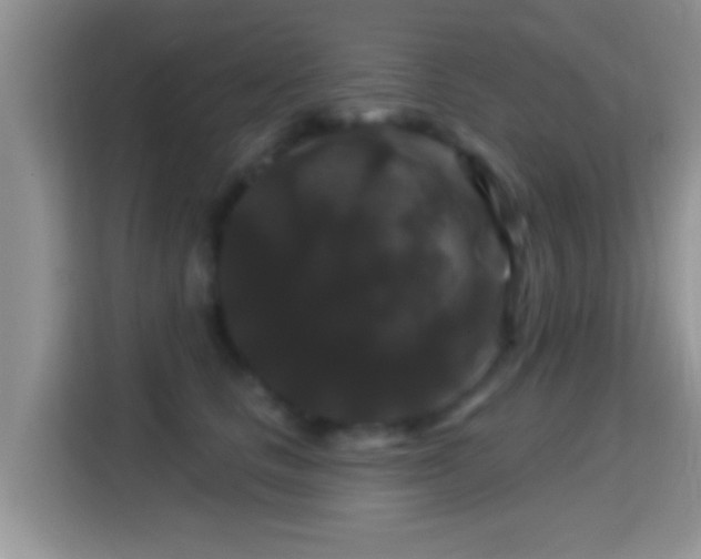 X0000116010661200911251121