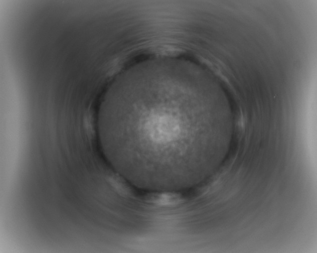 X0000116010663200911251121