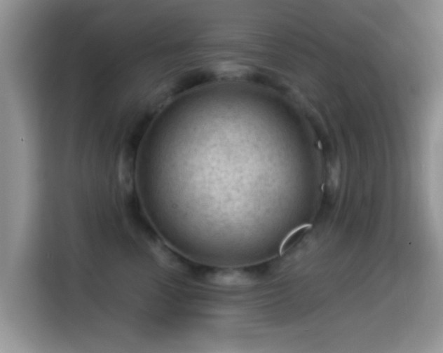 X0000116010666200911251122