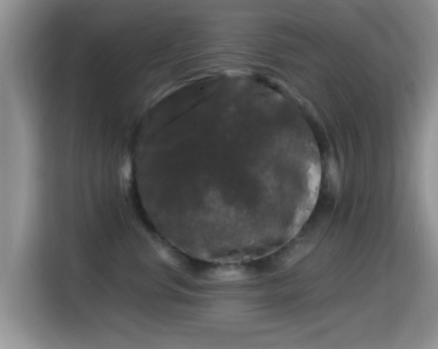 X0000116010668200911251122
