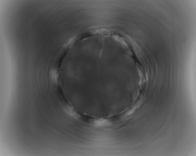 X0000116010669200911251122