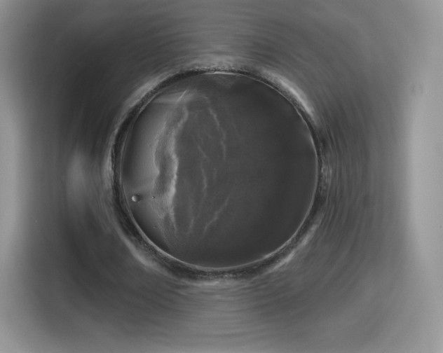 X0000116010674200911251121