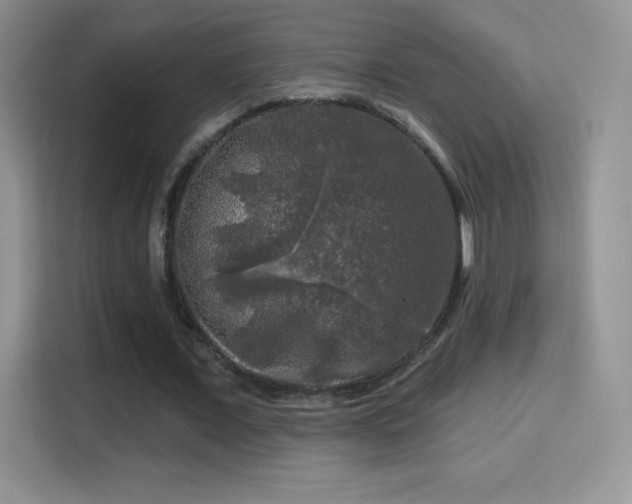 X0000116010675200911251121