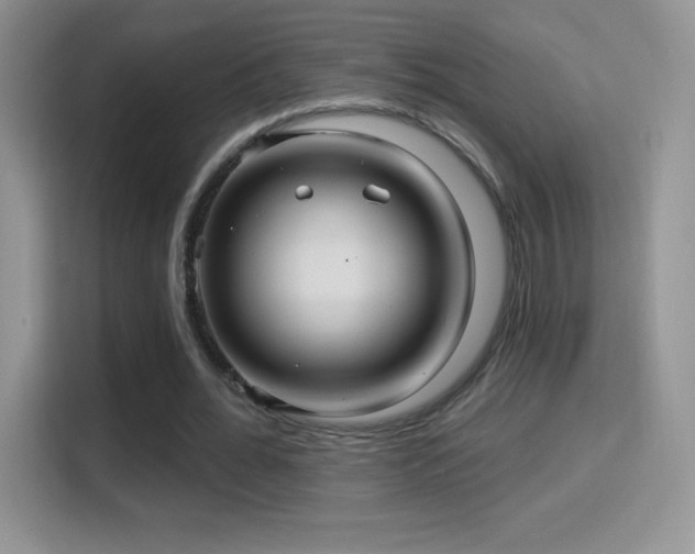 X0000116010676200911251121