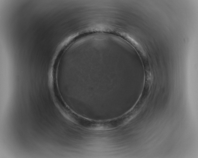 X0000116010678200911251121