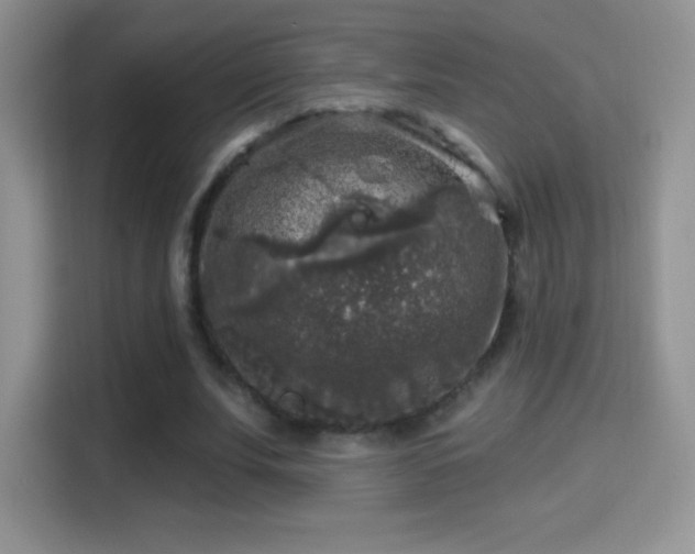X0000116010679200911251121
