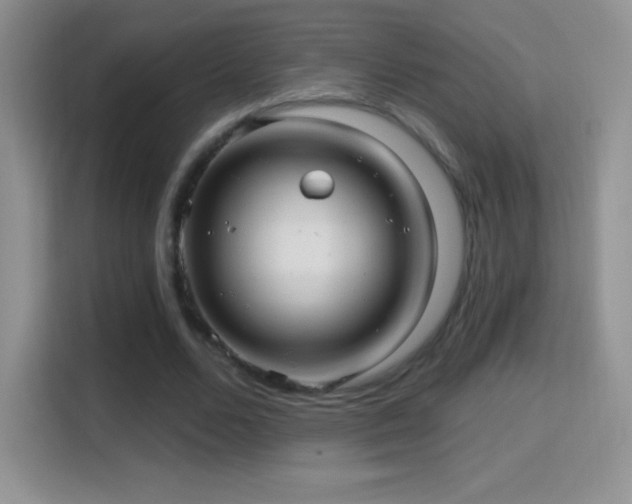 X0000116010680200911251121
