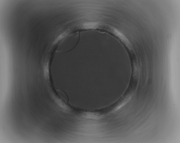 X0000116010681200911251121