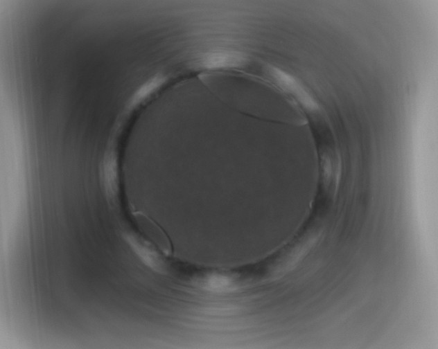 X0000116010684200911251121