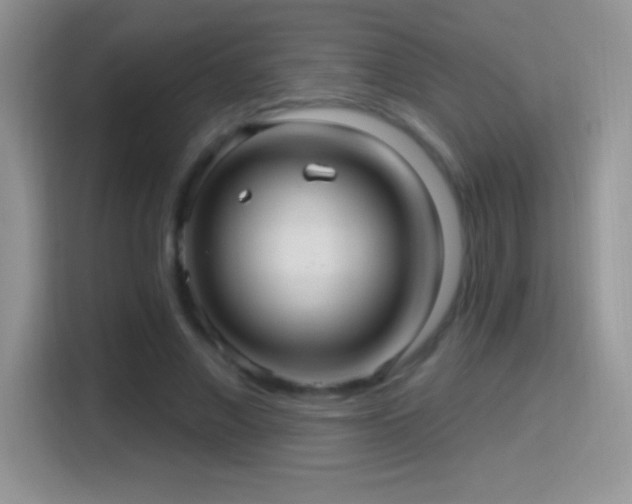 X0000116010685200911251121