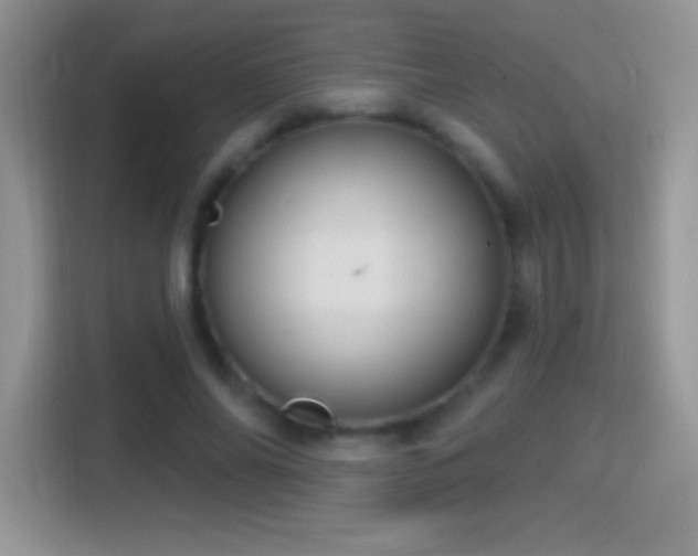 X0000116010686200911251121