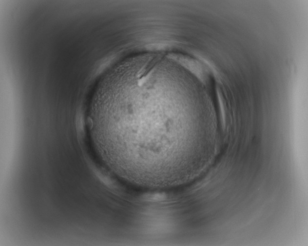 X0000116010687200911251121