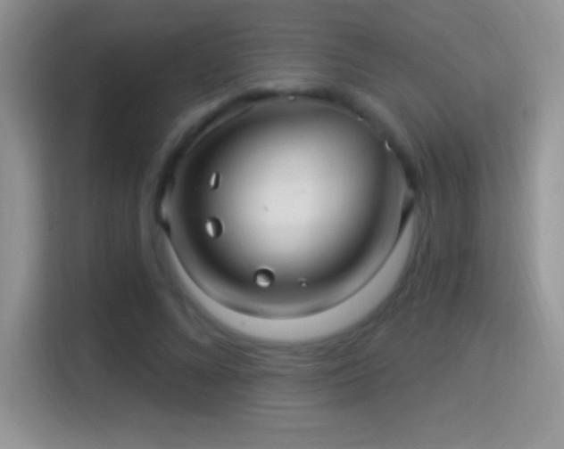 X0000116010688200911251121