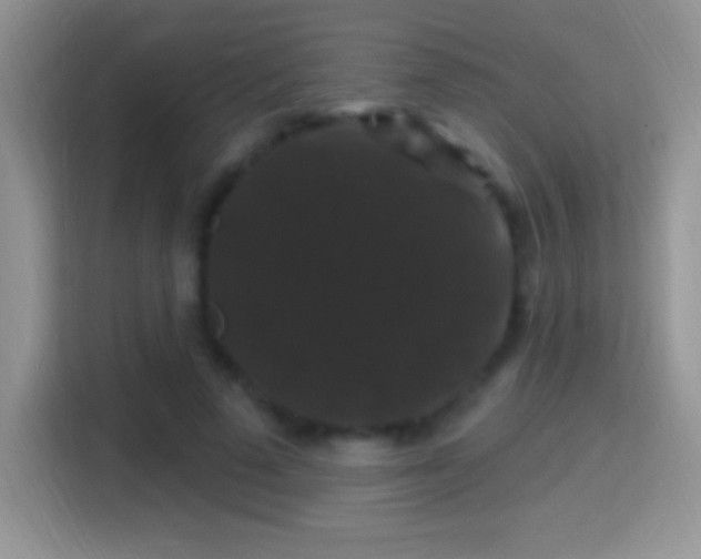X0000116010689200911251121