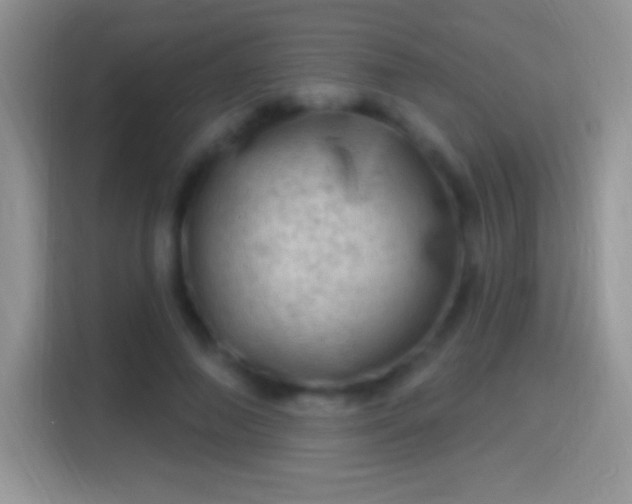 X0000116010690200911251121