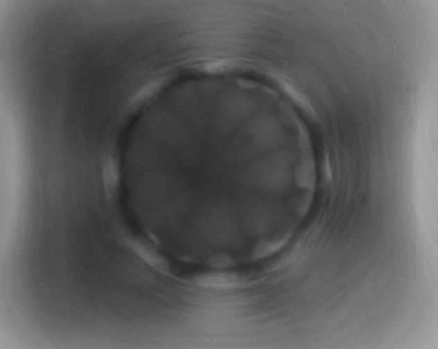 X0000116010691200911251121