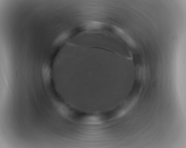 X0000116010692200911251121