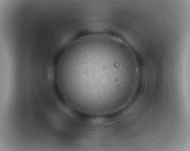 X0000116010695200911251121