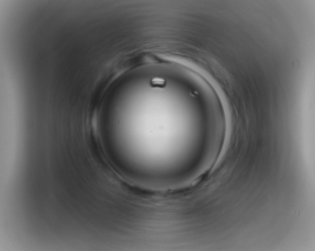 X0000116010697200911251121