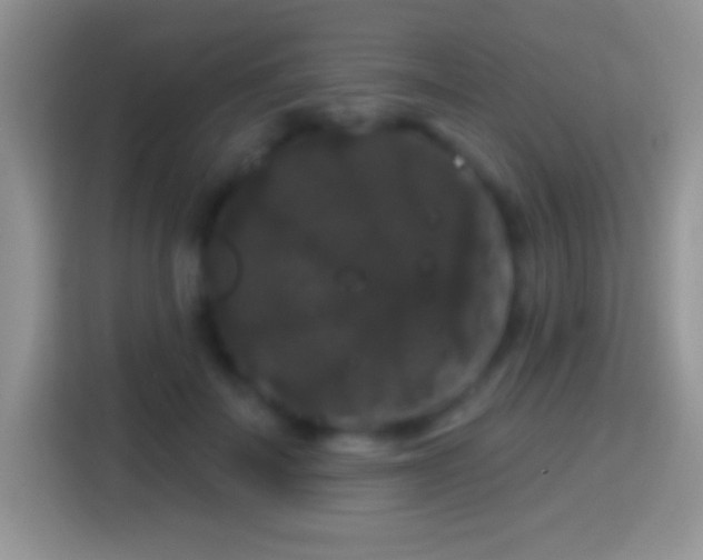 X0000116010699200911251121