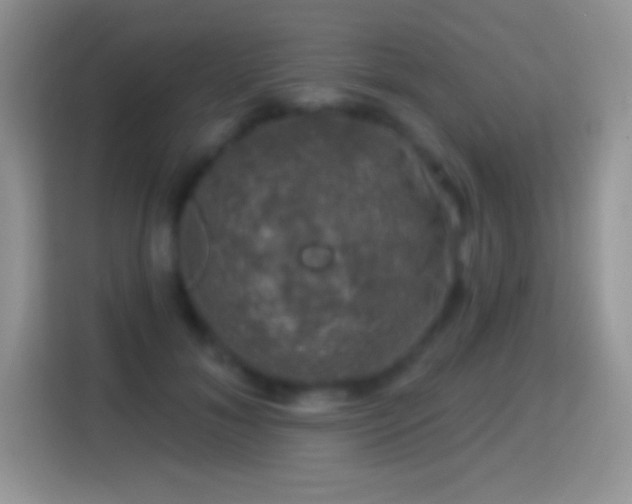 X0000116010700200911251121