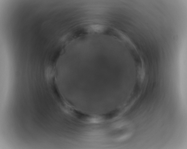 X0000116010701200911251121