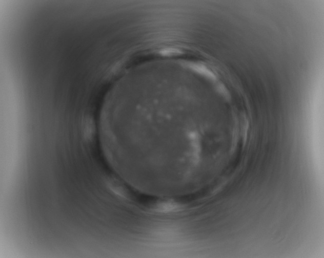 X0000116010704200911251121