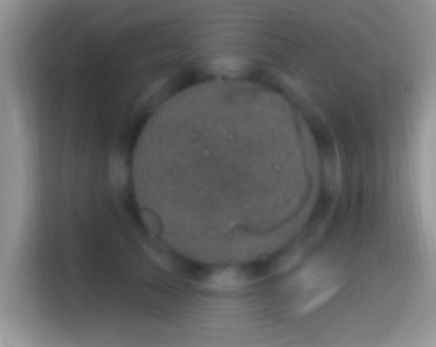 X0000116010705200911251121